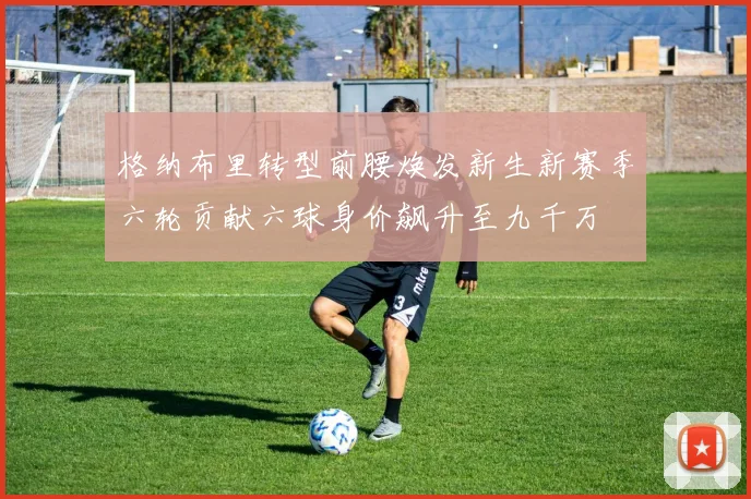 格纳布里转型前腰焕发新生新赛季六轮贡献六球身价飙升至九千万